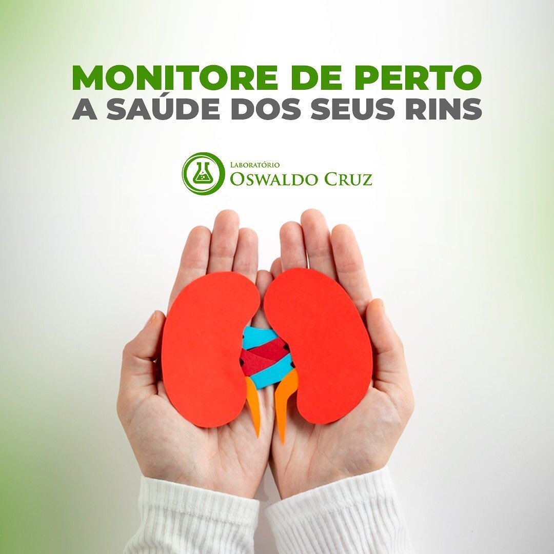 A IMPORTÂNCIA DA SAÚDE DO RIM