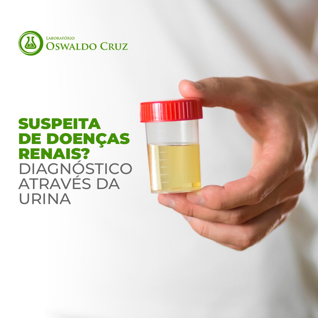 DOENÇAS RENAIS