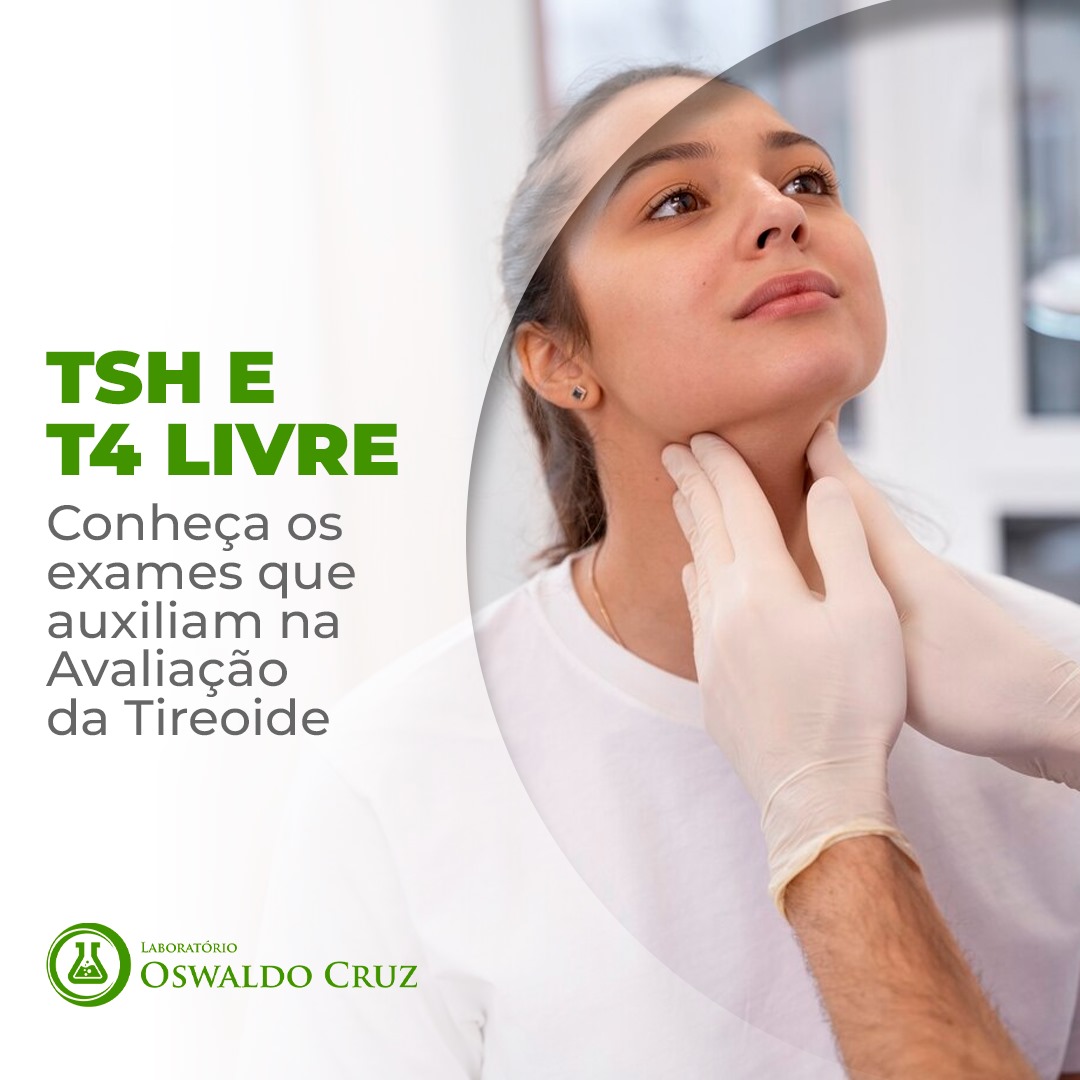 TSH E T44 LIVRE